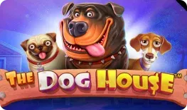 Ivibet – The Dog House